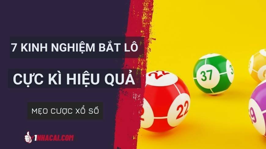 7-kinh-nghiem-bat-lo-cuc-hieu-qua-ma-ban-nen-biet