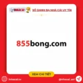 855bong.com