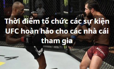 UFC xếp lịch thi đấu phù hợp cho các nhà cái tổ chức cá cược