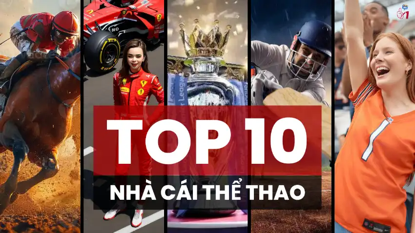 Top 10 Nhà Cái Cá Độ Thể Thao Uy Tín Nhất 2024 - 1nhacai