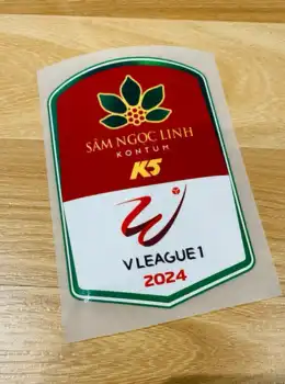 V-League vô địch quốc gia Việt Nam